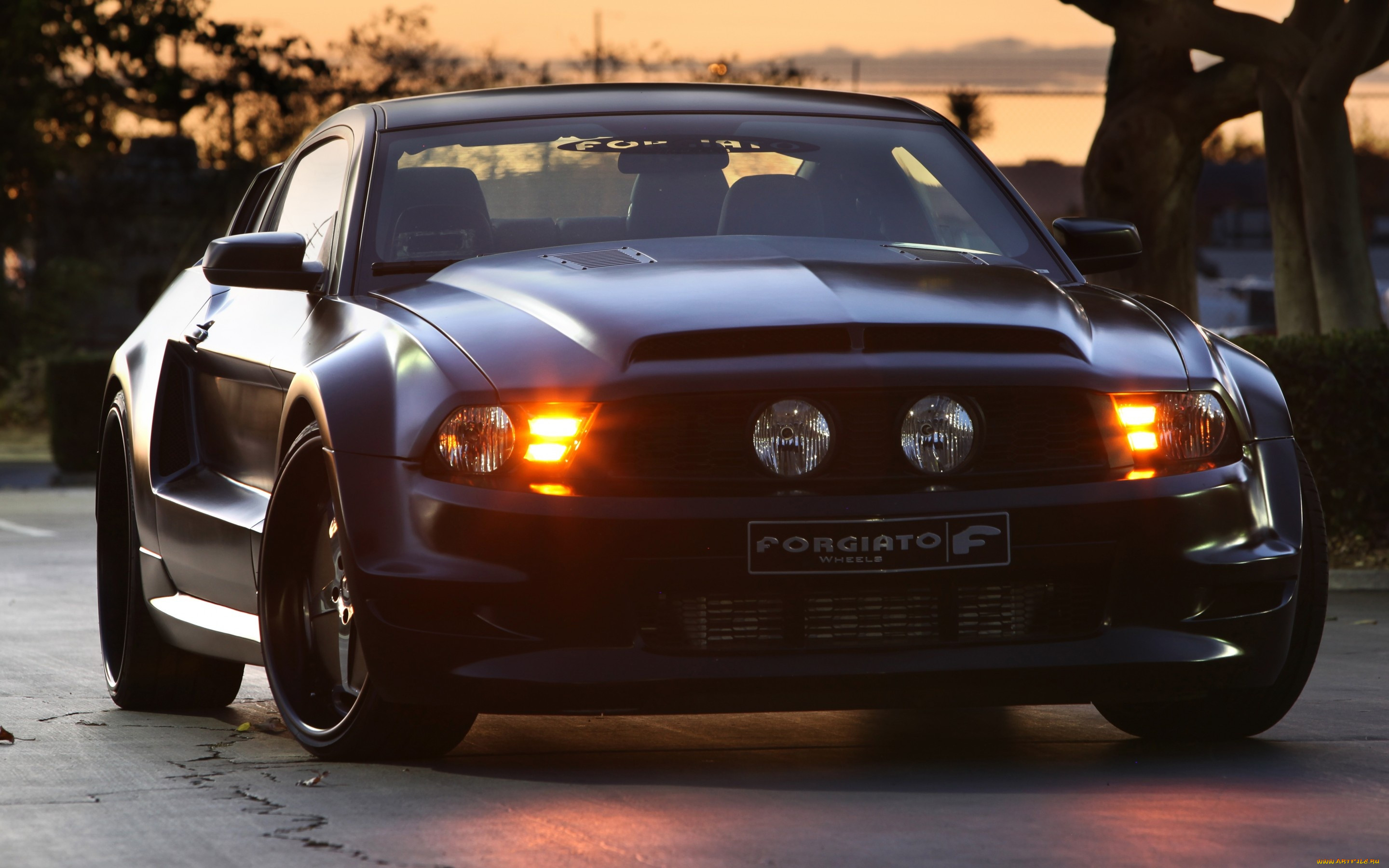 , mustang